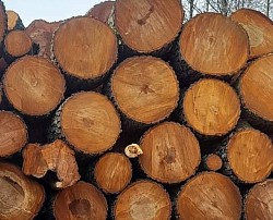 дрова метровкі Рожище