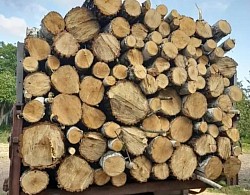 замовити метрові дрова Рожище